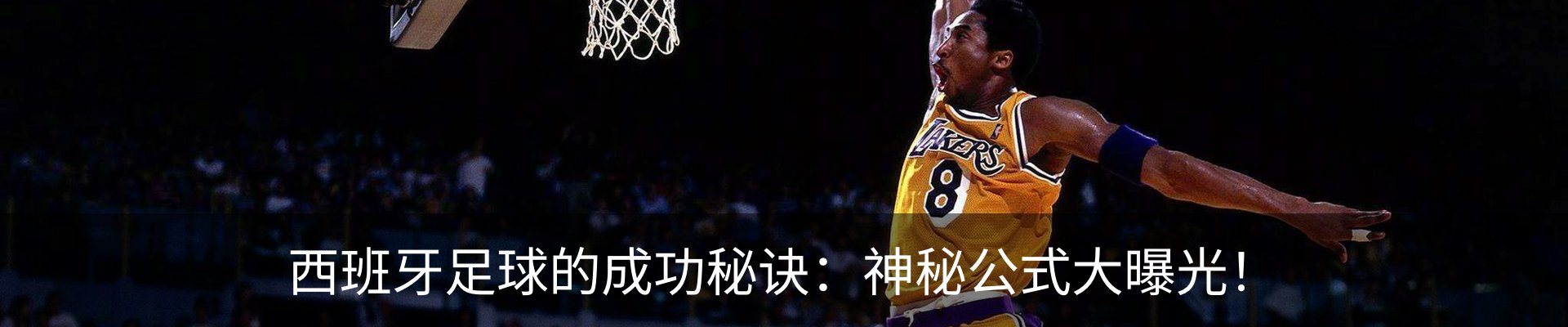 内页banner
